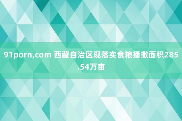 91porn,com 西藏自治区现落实食粮播撒面积285.54万亩
