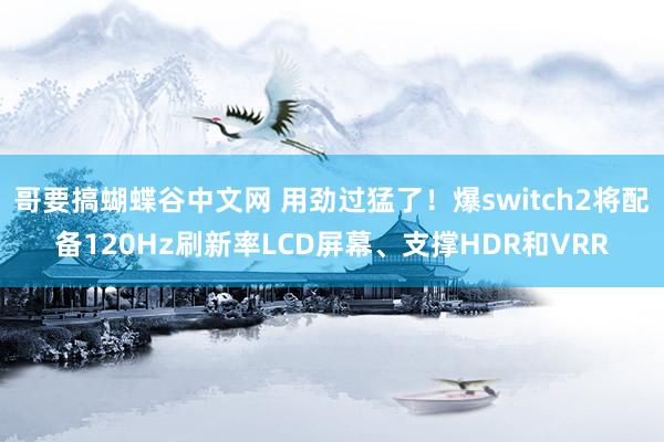 哥要搞蝴蝶谷中文网 用劲过猛了！爆switch2将配备120Hz刷新率LCD屏幕、支撑HDR和VRR