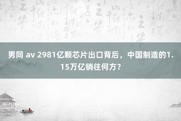 男同 av 2981亿颗芯片出口背后，中国制造的1.15万亿销往何方？