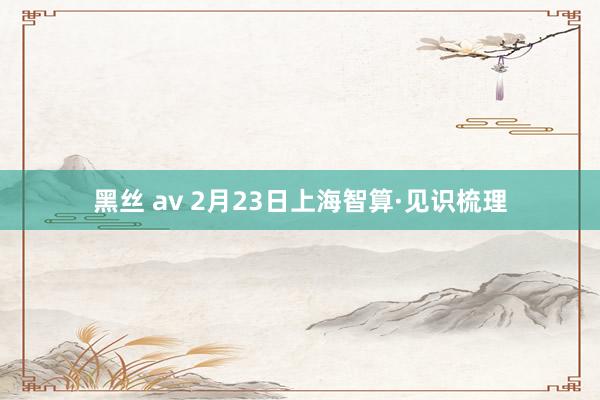 黑丝 av 2月23日上海智算·见识梳理