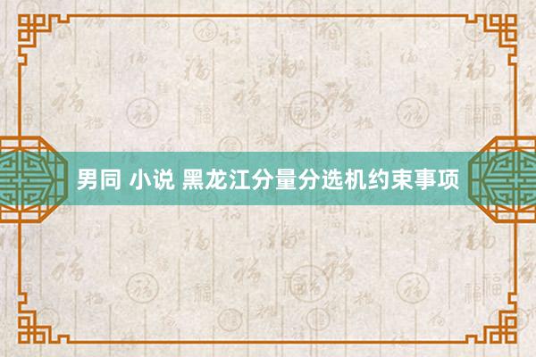 男同 小说 黑龙江分量分选机约束事项