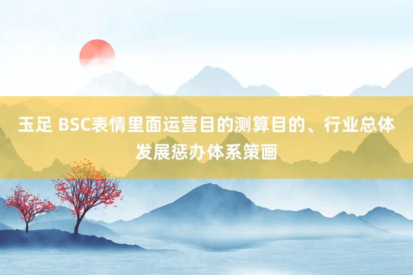 玉足 BSC表情里面运营目的测算目的、行业总体发展惩办体系策画