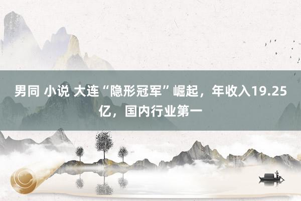 男同 小说 大连“隐形冠军”崛起，年收入19.25亿，国内行业第一