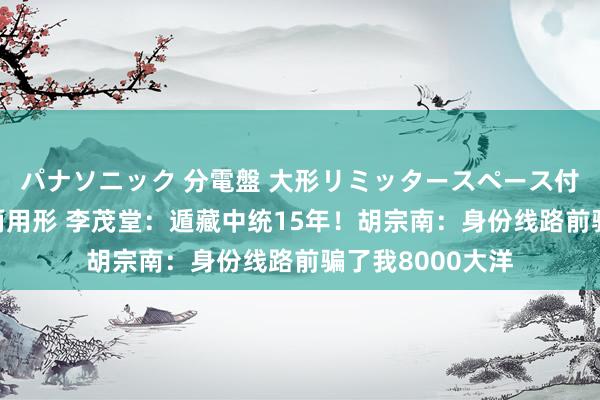 パナソニック 分電盤 大形リミッタースペース付 露出・半埋込両用形 李茂堂：遁藏中统15年！胡宗南：身份线路前骗了我8000大洋