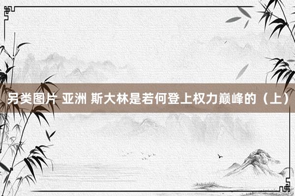 另类图片 亚洲 斯大林是若何登上权力巅峰的（上）