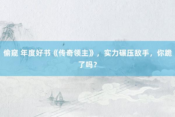 偷窥 年度好书《传奇领主》，实力碾压敌手，你跪了吗？