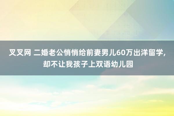 叉叉网 二婚老公悄悄给前妻男儿60万出洋留学, 却不让我孩子上双语幼儿园