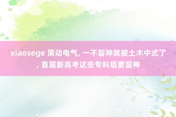 xiaosege 策动电气, 一不留神就被土木中式了, 首届新高考这些专科组要留神