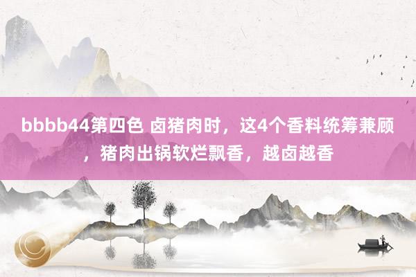 bbbb44第四色 卤猪肉时，这4个香料统筹兼顾，猪肉出锅软烂飘香，越卤越香
