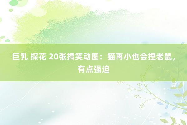 巨乳 探花 20张搞笑动图：猫再小也会捏老鼠，有点强迫