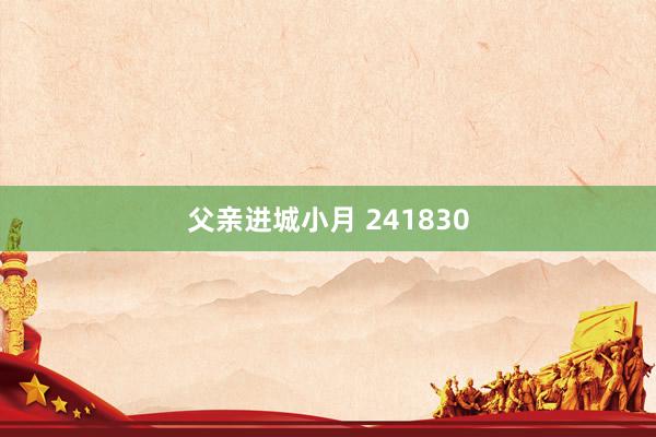 父亲进城小月 241830