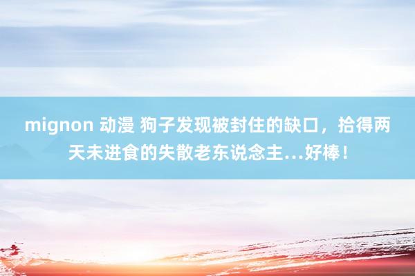 mignon 动漫 狗子发现被封住的缺口，拾得两天未进食的失散老东说念主…好棒！
