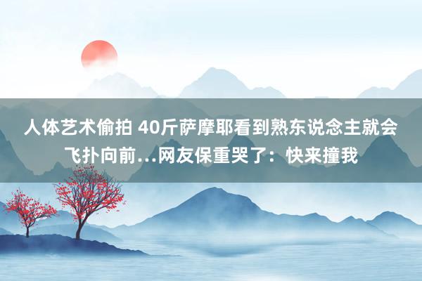 人体艺术偷拍 40斤萨摩耶看到熟东说念主就会飞扑向前…网友保重哭了：快来撞我