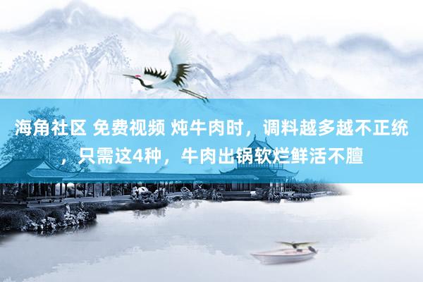海角社区 免费视频 炖牛肉时，调料越多越不正统，只需这4种，牛肉出锅软烂鲜活不膻