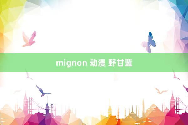 mignon 动漫 野甘蓝