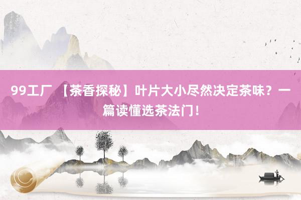 99工厂 【茶香探秘】叶片大小尽然决定茶味？一篇读懂选茶法门！