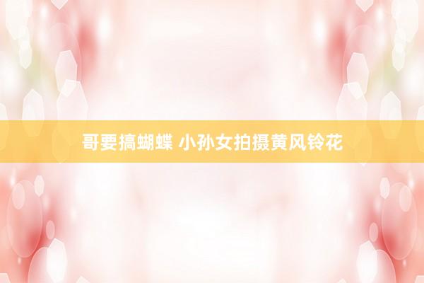 哥要搞蝴蝶 小孙女拍摄黄风铃花