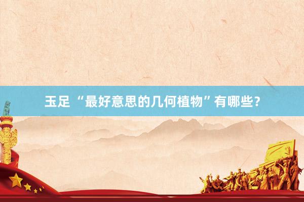 玉足 “最好意思的几何植物”有哪些？
