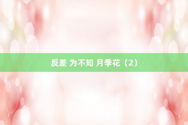 反差 为不知 月季花（2）
