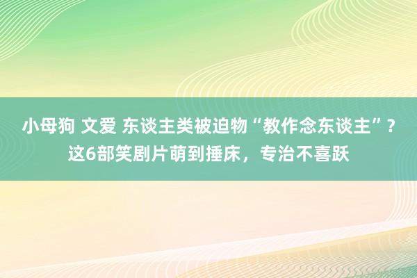 小母狗 文爱 东谈主类被迫物“教作念东谈主”？这6部笑剧片萌到捶床，专治不喜跃