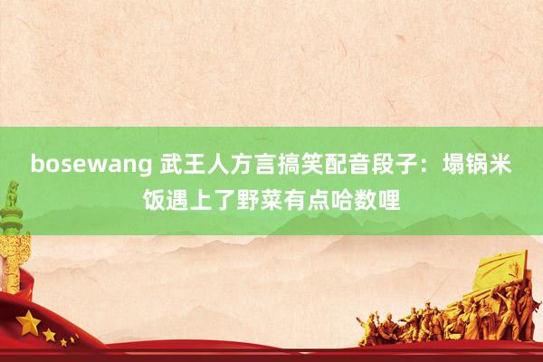 bosewang 武王人方言搞笑配音段子：塌锅米饭遇上了野菜有点哈数哩