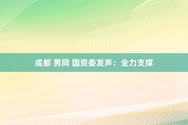 成都 男同 国资委发声：全力支撑