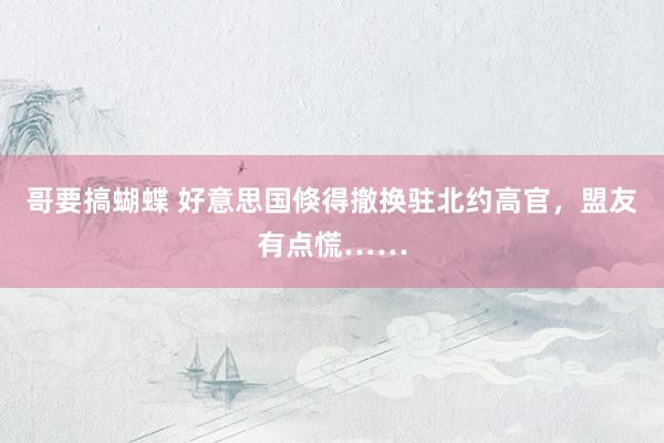 哥要搞蝴蝶 好意思国倏得撤换驻北约高官，盟友有点慌……